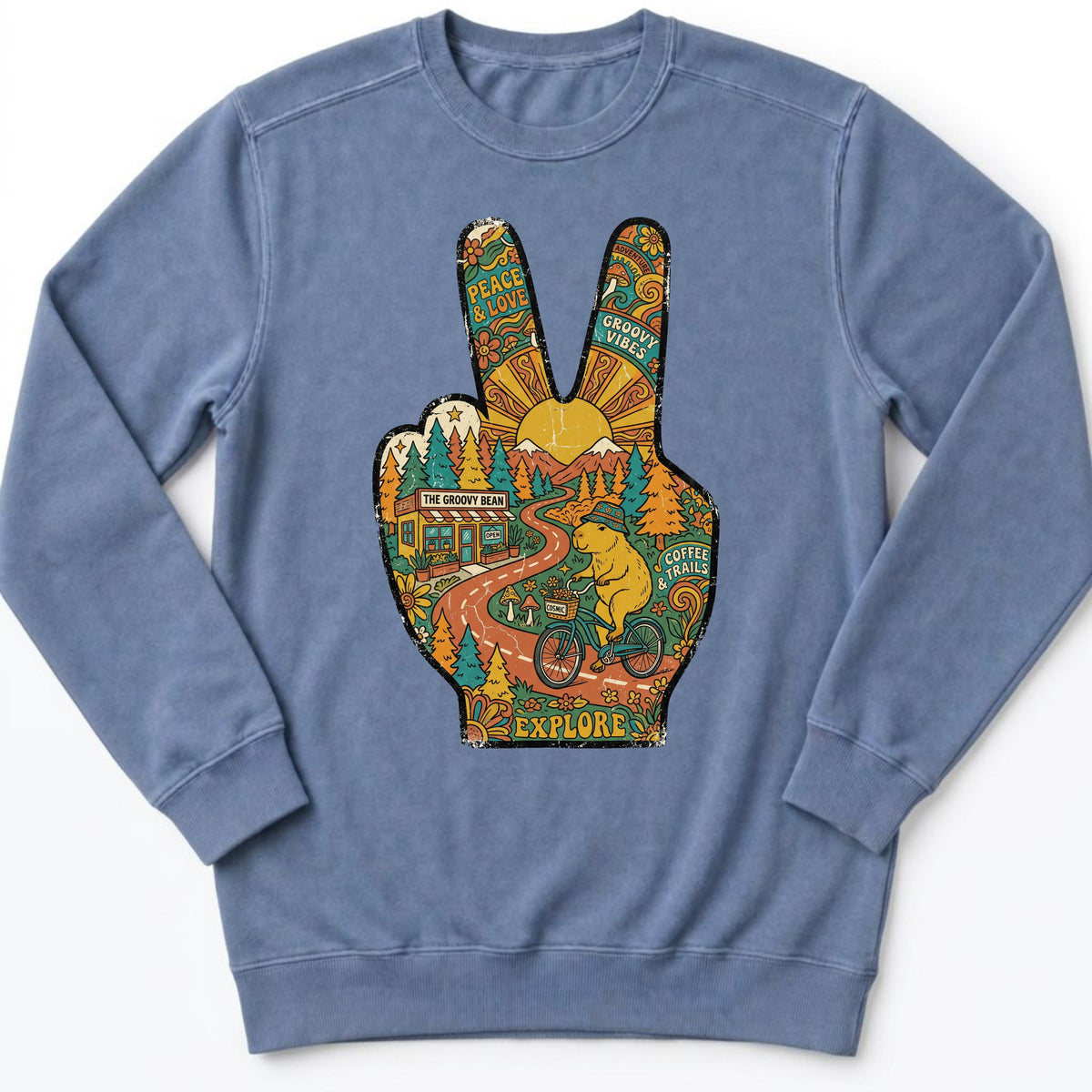 V Capy Sweatshirt