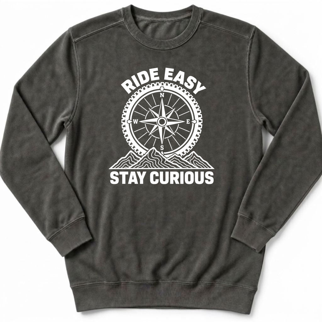 Stay Curious Sweatshirt