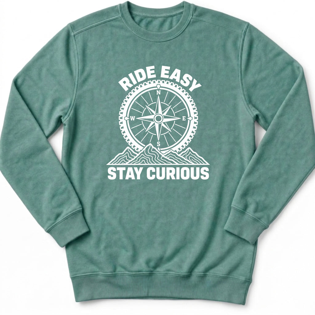 Stay Curious Sweatshirt