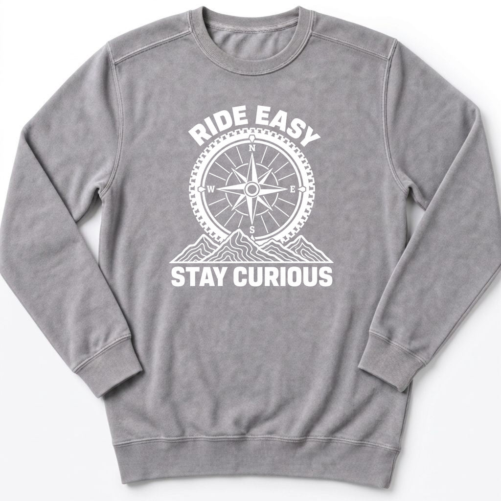 Stay Curious Sweatshirt
